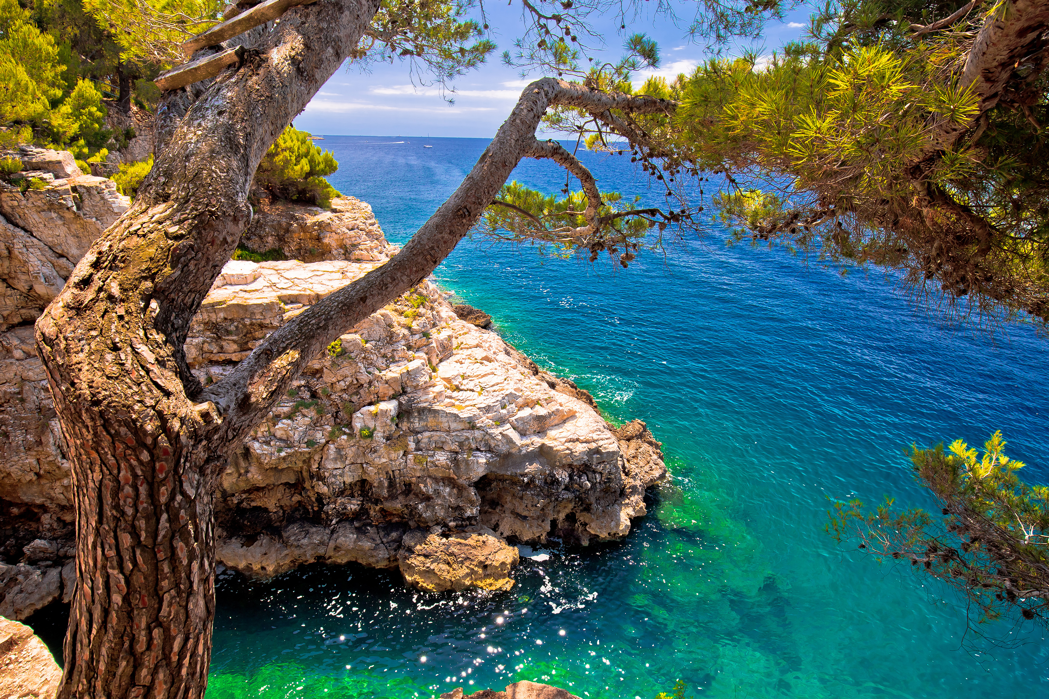 Explore Istria's Timeless Beauty